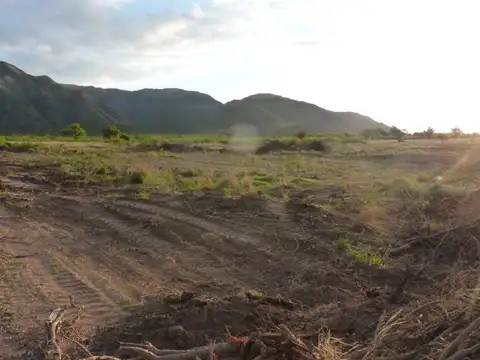 DR. BRAULIO MOYANO  RN148 1400