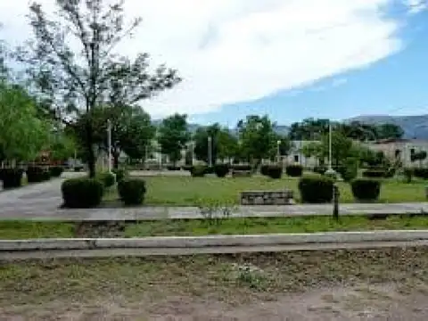 DR. BRAULIO MOYANO  RN148 1400