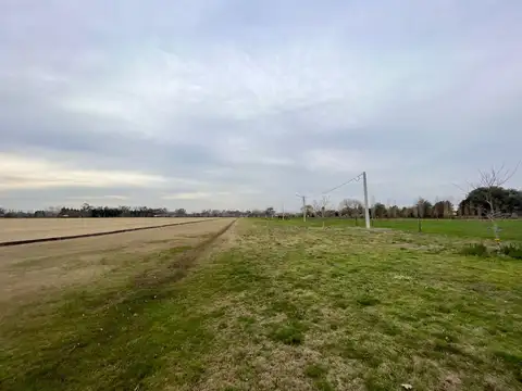 Terreno en Venta 50  mts Fondo