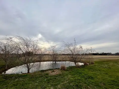 2 LOTES EN BARRIO CERRADO CAPILLA POLO CLUB: 5.000 m2 CADA UNO.