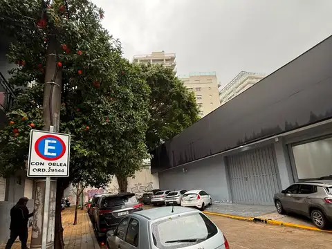 Juan Bautista Alberdi  al 500