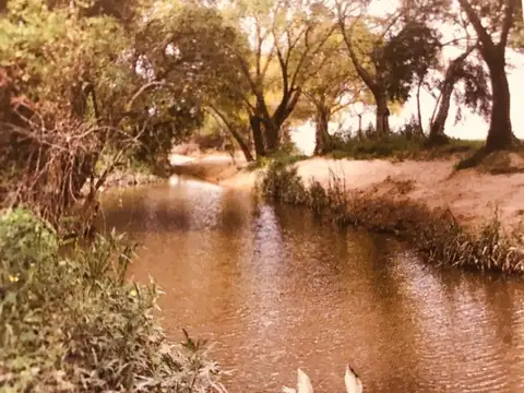 BALNEARIO ARTILLEROS 100