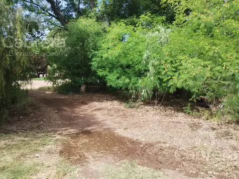 Venta de campo en San Rafael, Mendoza
