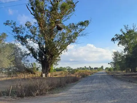 Campo en  venta en Los Hornos, La Plata