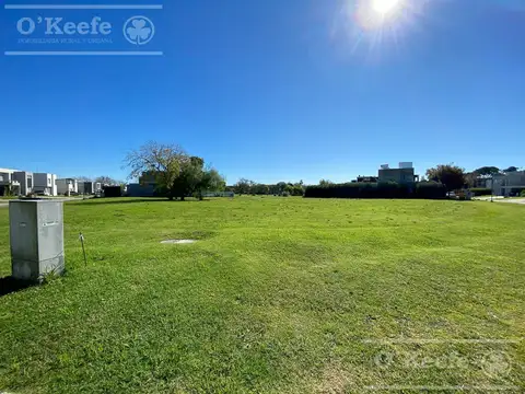 Terreno en Venta de 1571,0 m2