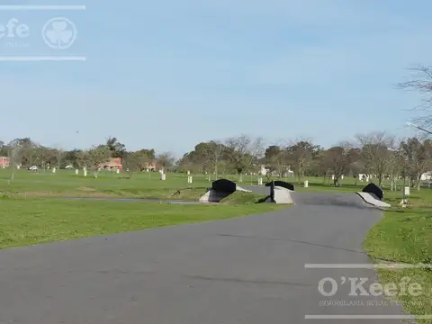 Terreno en Venta de 1571,0 m2