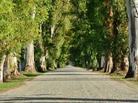 Villa de Campo Tres Pinos