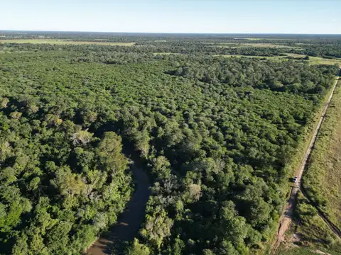 Campo en venta de 51 has. ubicado en La Verde