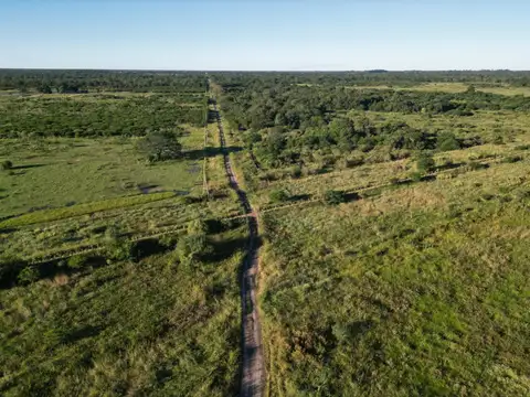 Campo en venta de 51 has. ubicado en La Verde