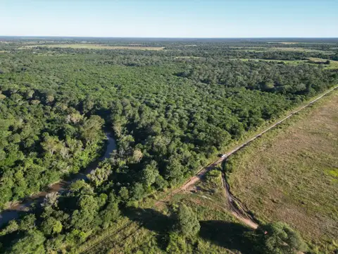 51 hectáreas en La Verde