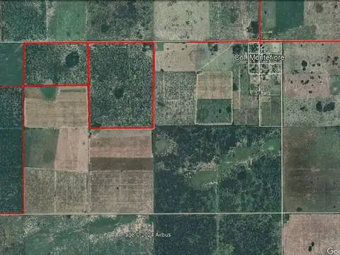 Campo en Venta en Colonia Montefiore, 9 de Julio