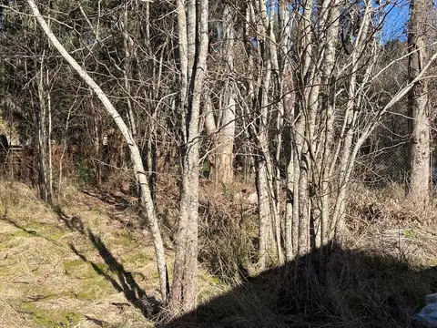 Terreno en Venta en Abasto, USD 35.000