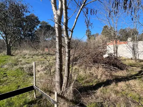 Lote en venta en Abasto