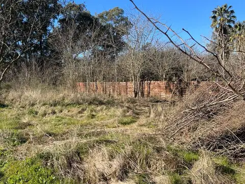Terreno en Venta 20  mts Frente
