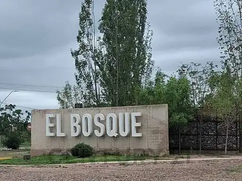 VENTA LOTE- B°EL BOSQUE- MAIPÚ, MENDOZA. ID: 226996