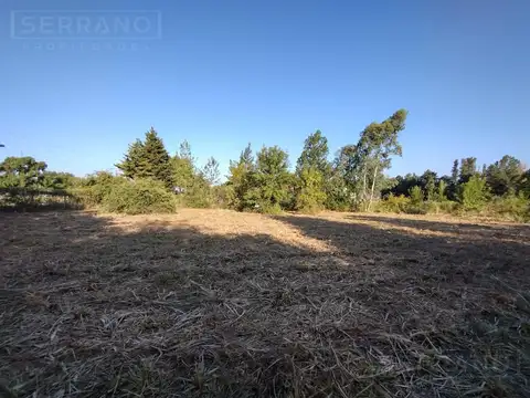 Terreno en Venta 100  mts Fondo