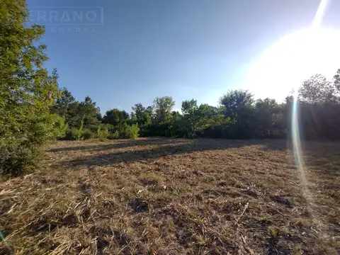 Terreno en Venta 40  mts Frente