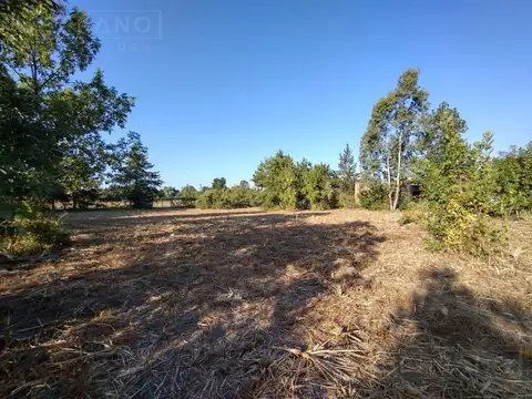 Venta Lote Terreno Colectora Sur Ruta 8 Panamericana Ramal Pilar Km 77 Exaltacion de la Cruz 4.000 m