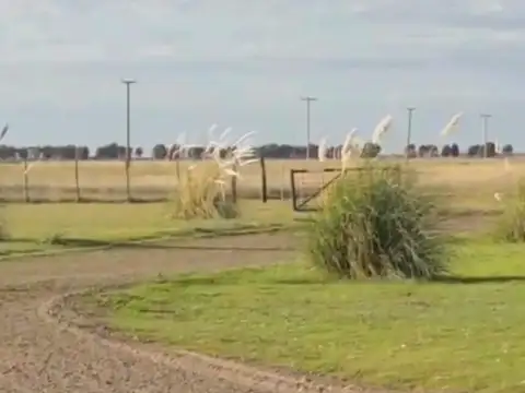 VENTA DE ESTANCIA CON 42 BOXES PARA CABALLOS Y FRIGORIFICO BAHIA SAN BLAS