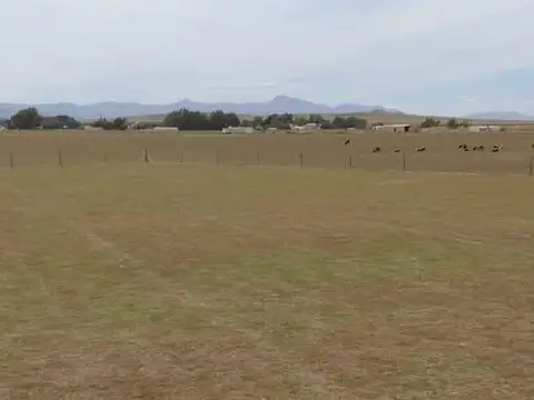 Terreno en venta - 2.000Mts2 - Tornquist