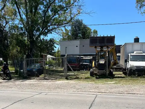 los cardenales y colectora