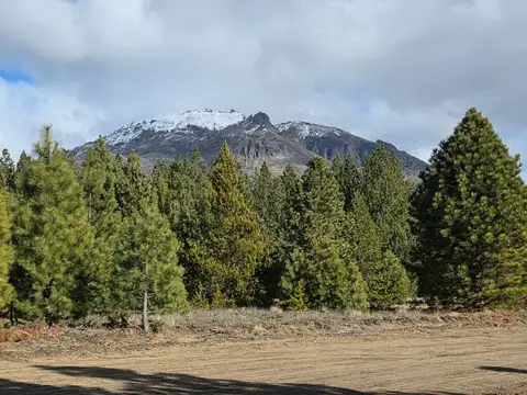 Terreno en Venta de 1240,0 m2