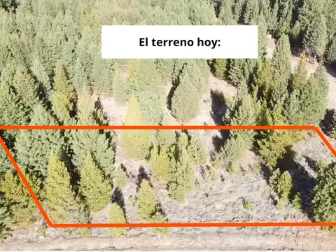 Dos Valles K21