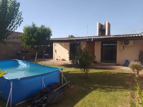 AZUCENAS 100