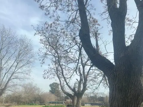 Terrenos con escritura a 2 cuadras de Ruta 205