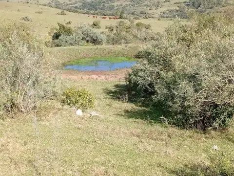 Chacra en venta en Sierra de Carapé, Uruguay
