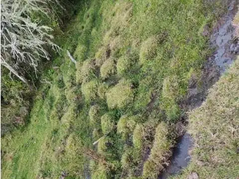 Chacra en venta en Sierra de Carapé, Uruguay