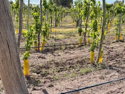 Lamadrid sin número , Piso 0