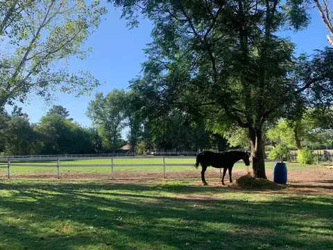 Campo 9,5 ha - Centro Ecuestre - Manzanares Pilar