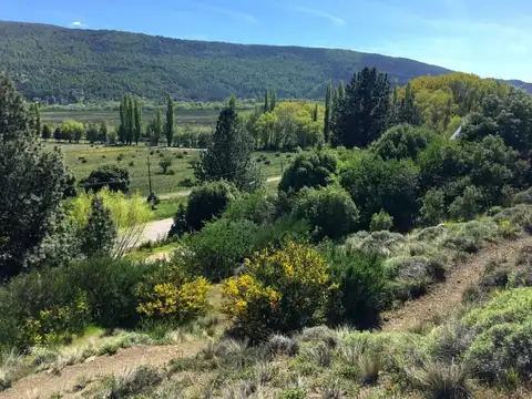 RUTA 40 FALDEOS