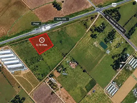 REBAJADO CAMPO 4,18 HA. – SOBRE RN205 -  URIBELARREA - A MTS. PEAJE