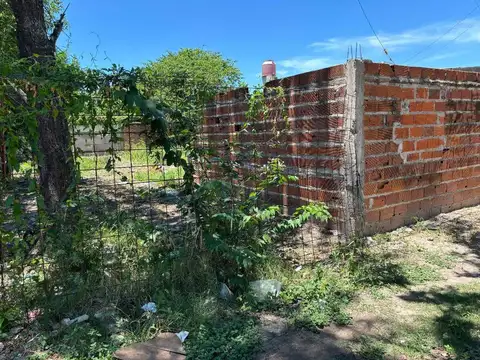 ledesma 1100