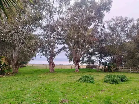 CAMPO MIXTO EN VENTA ALVAREZ JONTE - NUEZ PECÁN