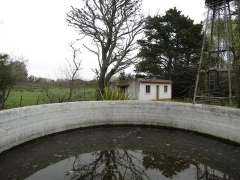 Campo - Ranchos