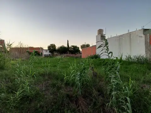 6 E/ 83 Y 84