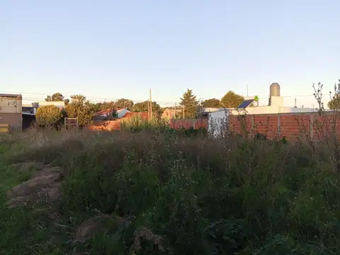LOTE EN VENTA 6 E/ 83 y 84 SOBRE ASFALTO 800 m2  20x40