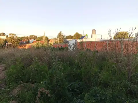 6 E/ 83 Y 84