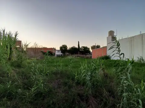 LOTE EN VENTA 6 E/ 83 y 84 SOBRE ASFALTO 800 m2  20x40