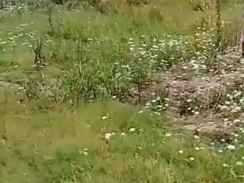 Sobre Autopista Rosario Santa Fe altura Baigorria/Ibarlucea