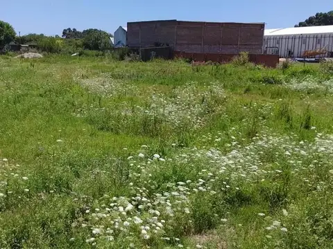 Sobre Autopista Rosario Santa Fe altura Baigorria/Ibarlucea