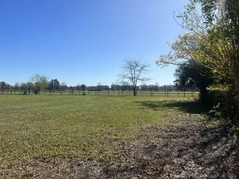 Club de Campo San Francisco