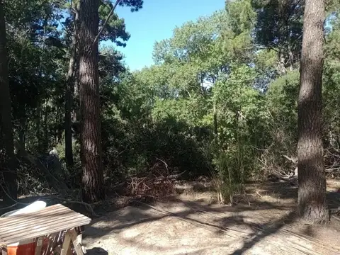 Punta Del Este e/ 42 y 41