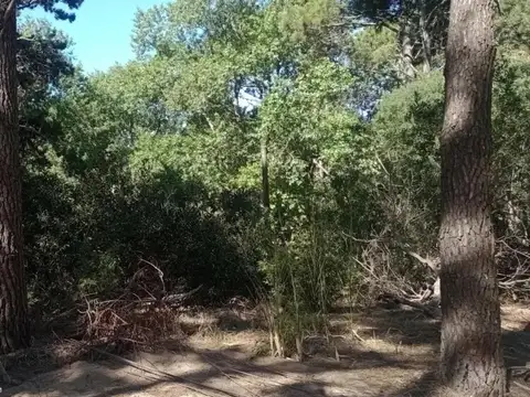 Terreno en Venta en Mar Azul, USD 60.000