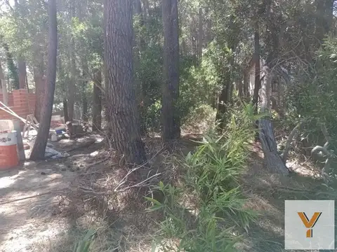 Terreno en Venta de 350,0 m2