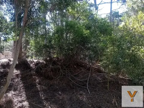 Terreno en Venta de 350,0 m2