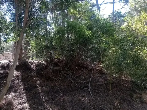 Terreno en Venta de 350,0 m2